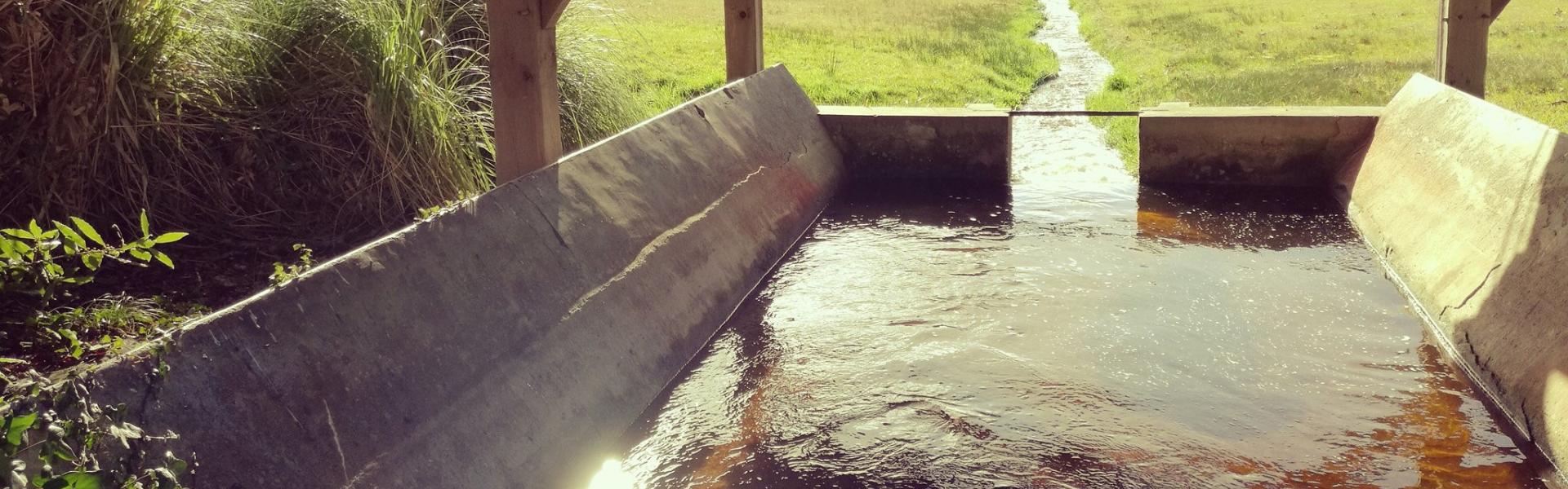 lavoir